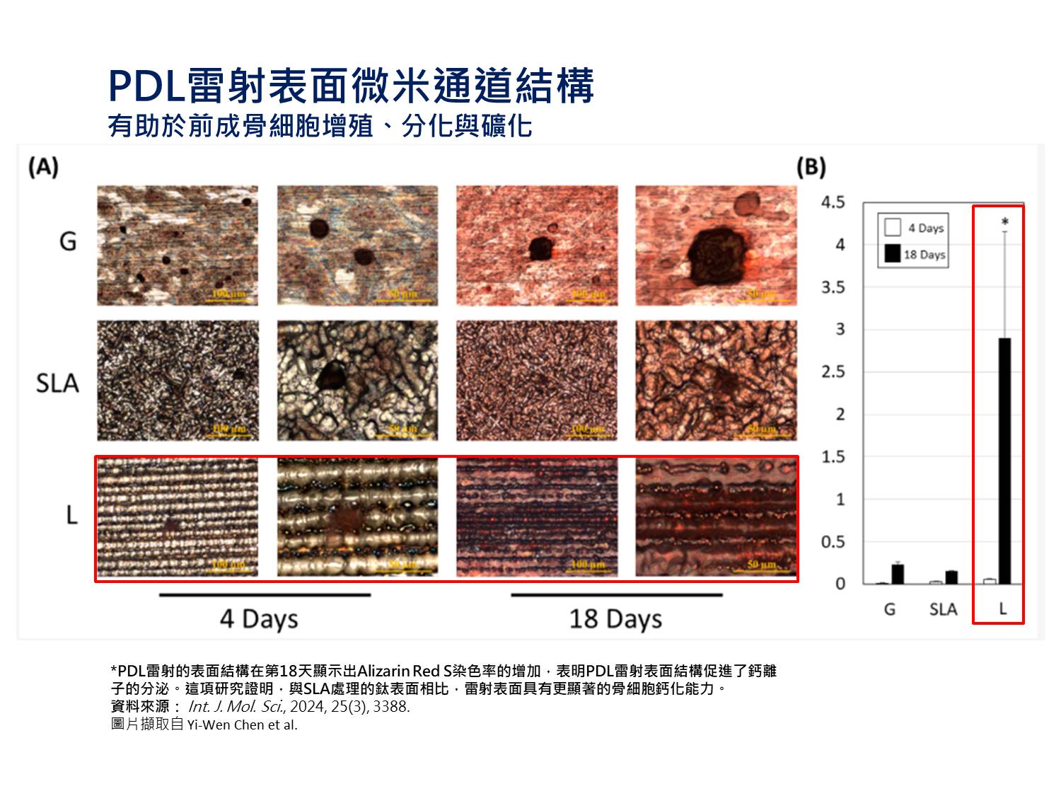 PDL雷射植體顯示其細胞具備更強的鈣化與骨基質生成潛力