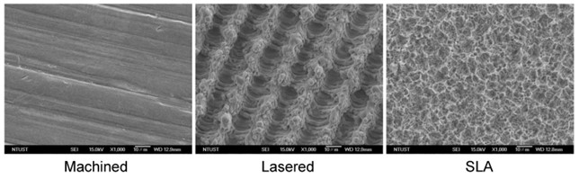 SEM電子顯微鏡下細胞在不同鈦表面的型態比較