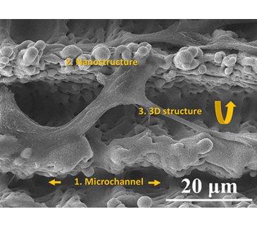 PDL雷射表處結構